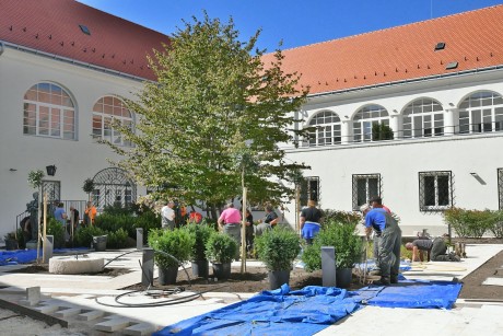 Növénytelepítés a Városháza megújuló díszudvarán